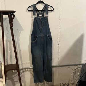 Aritzia Blue Denim Jumpsuit
